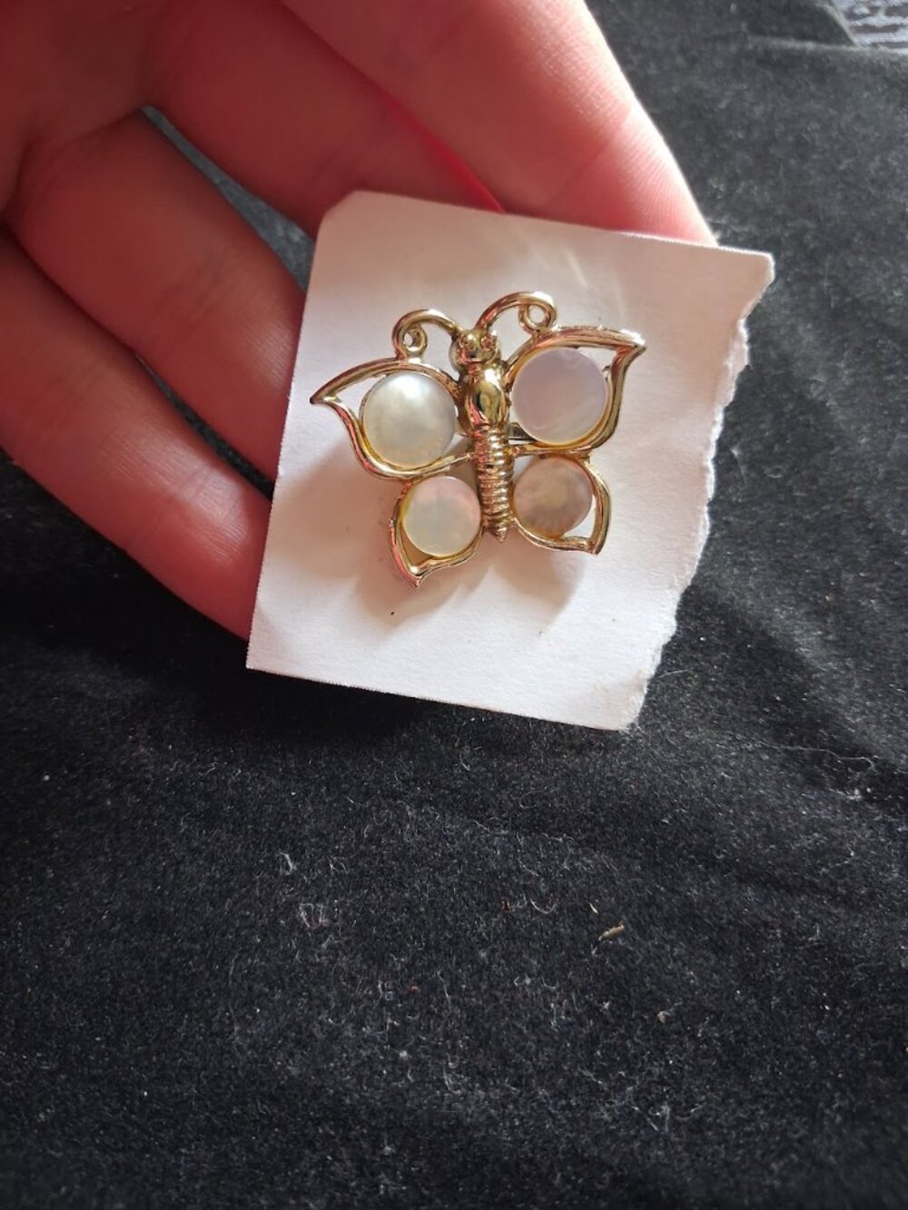 Butterfly brooch